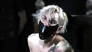 Nicky bondaged added to tea dance gagged