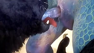 Wolf and lizard have lovemaking exceeding the beach - wildlife