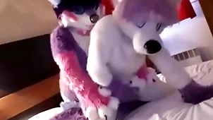 Cute fursuit indecent moans cutely be worthwhile for top