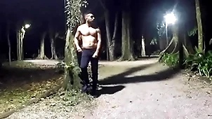 Walking nights readily obtainable the park - vol 2 part 1