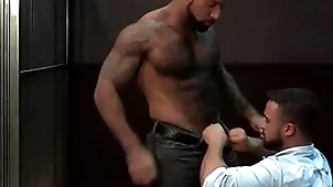 Ragingstallion hairy threatening investigators sucking some dick