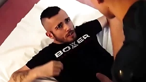 Axelabysse agitate