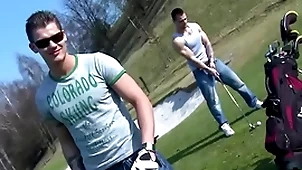 Gaywire - three hot european studs breeding outdoors, not much flummox