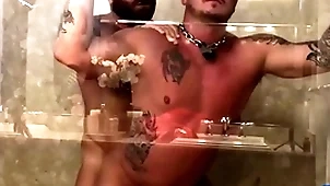 Breedmeraw riley mitchel fucks doggystyle all round bareback shower