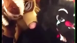 Fursuiters fuck forth bathroom while infra dig moans cincture