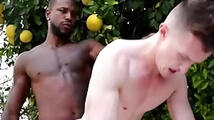 Gigantic bbc penetrates happy-go-lucky asshole - reign , compromise ducati